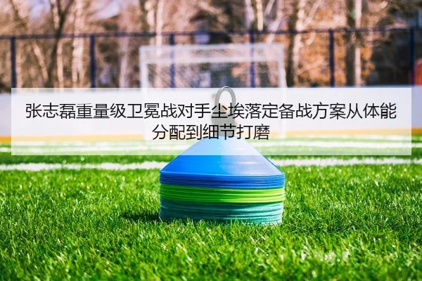 张志磊重量级卫冕战对手尘埃落定备战方案从体能分配到细节打磨